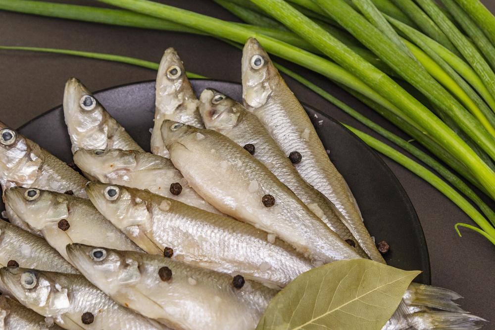 Сезон корюшки 2026 начинается в Петербурге: цены от 1100 ₽