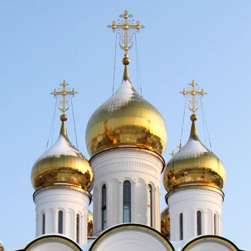 Автобусная экскурсия «Переславль-Залесский, вино, мангалица и дача Коровина»