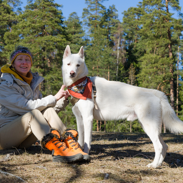 Катание на собачьей упряжке на дистанцию 2 км Катание на собачьей упряжке на дистанцию 2 км со скидкой 20%