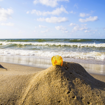 Автобусная экскурсия в Балтийск и Янтарный со скидкой 25%