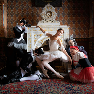 Балет «Спящая красавица» во дворце Белосельских-Белозерских со скидкой 35%