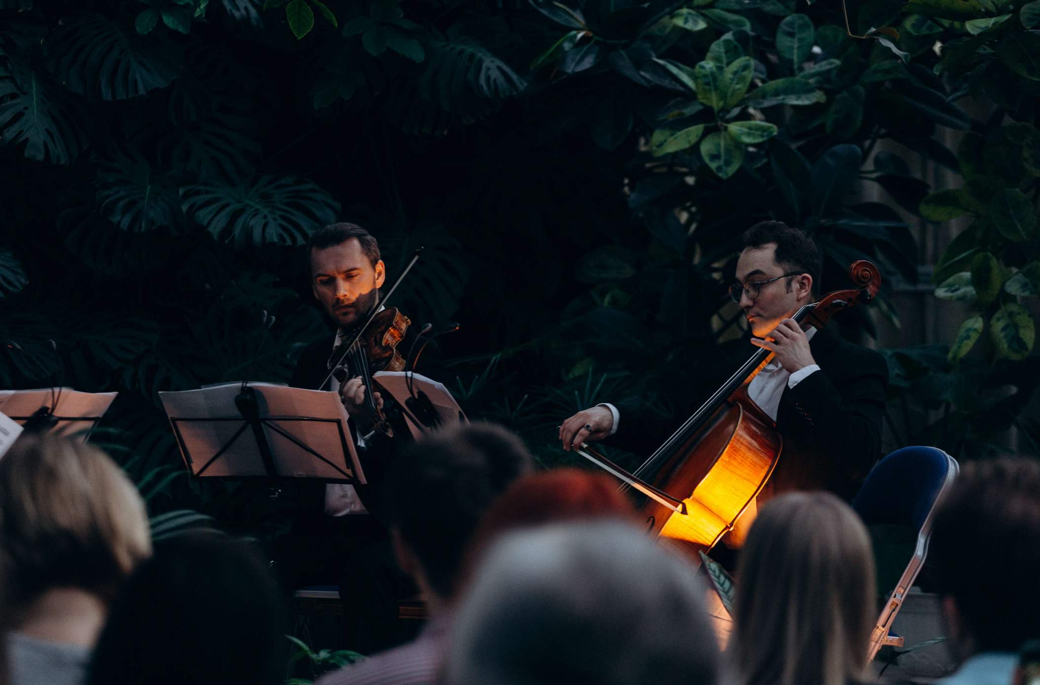 Концерт при свечах «От Баха до рок-хитов» в Оранжерее Таврического сада со скидкой 30%