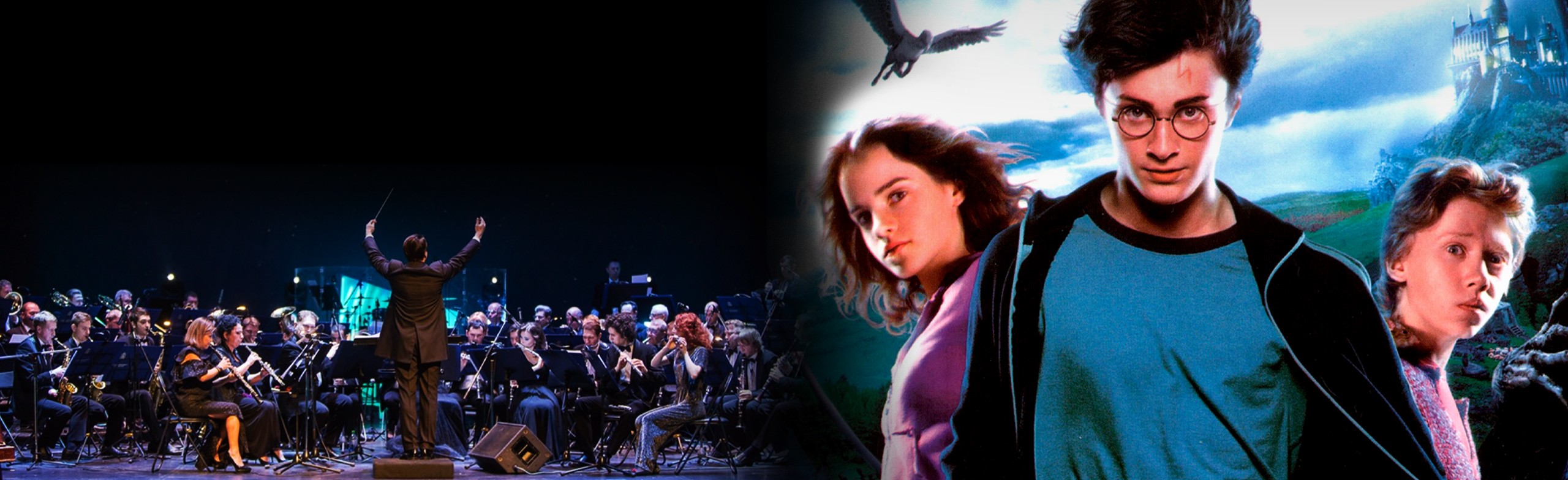 Оркестровый концерт в соборе «Harry Potter Symphony» со скидкой 30%