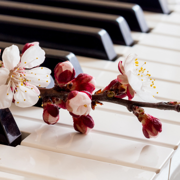 Органный концерт при свечах «Месяц Баха» со скидкой 30%