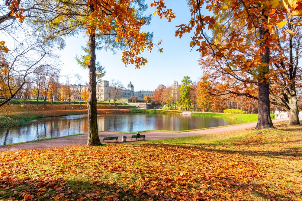 Неизвестная Гатчина: скрытые достопримечательности за 1 день