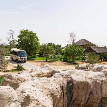 Зоопарк Dubai Safari Park из Рас-эль-Хаймы Зоопарк Dubai Safari Park из Рас-эль-Хаймы