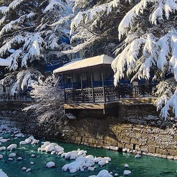 Автомобильно-пешеходная экскурсия по курорту Боржоми со скидкой 30%