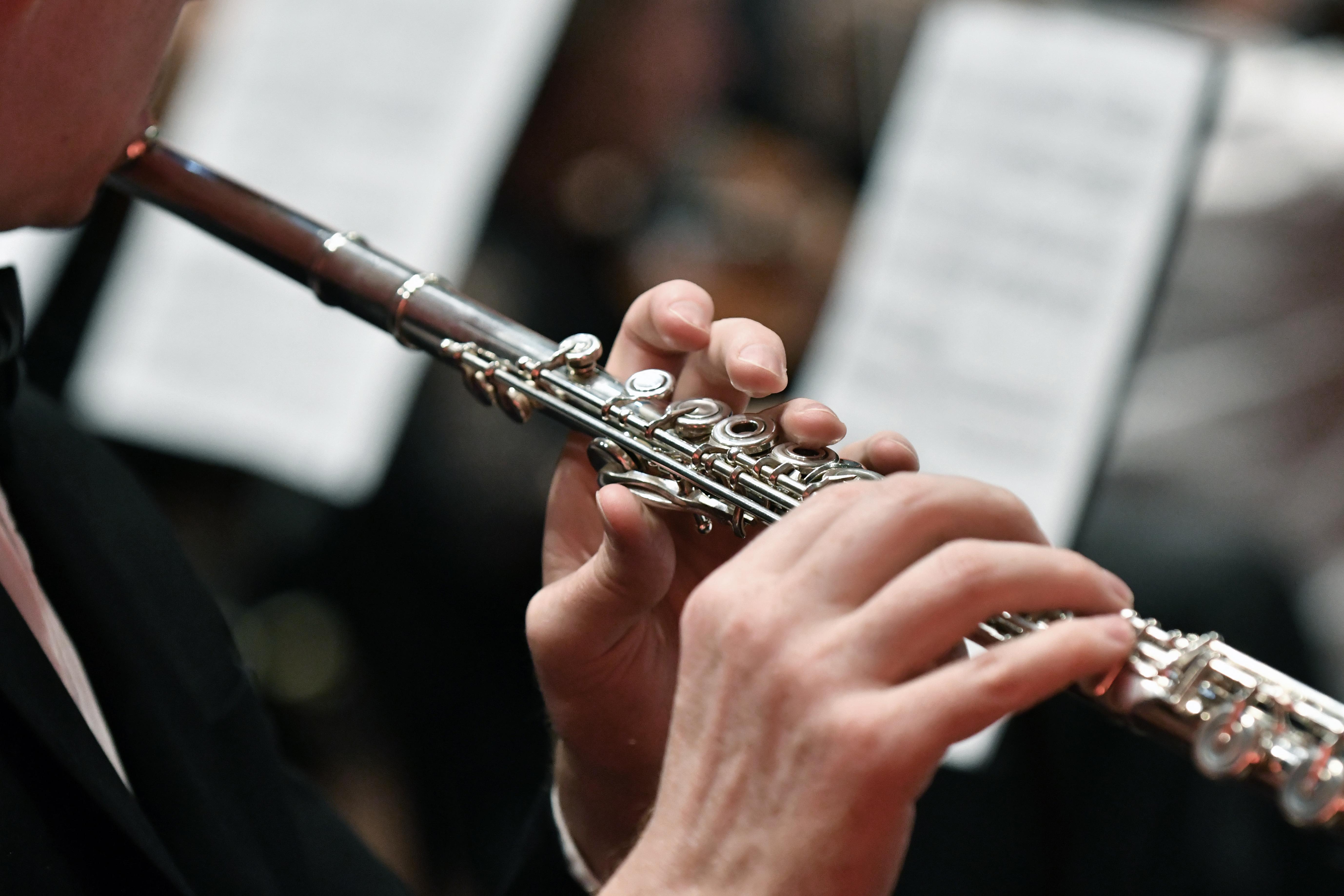 Концерты для флейты и арфы в Концертном зале Мариинского театра