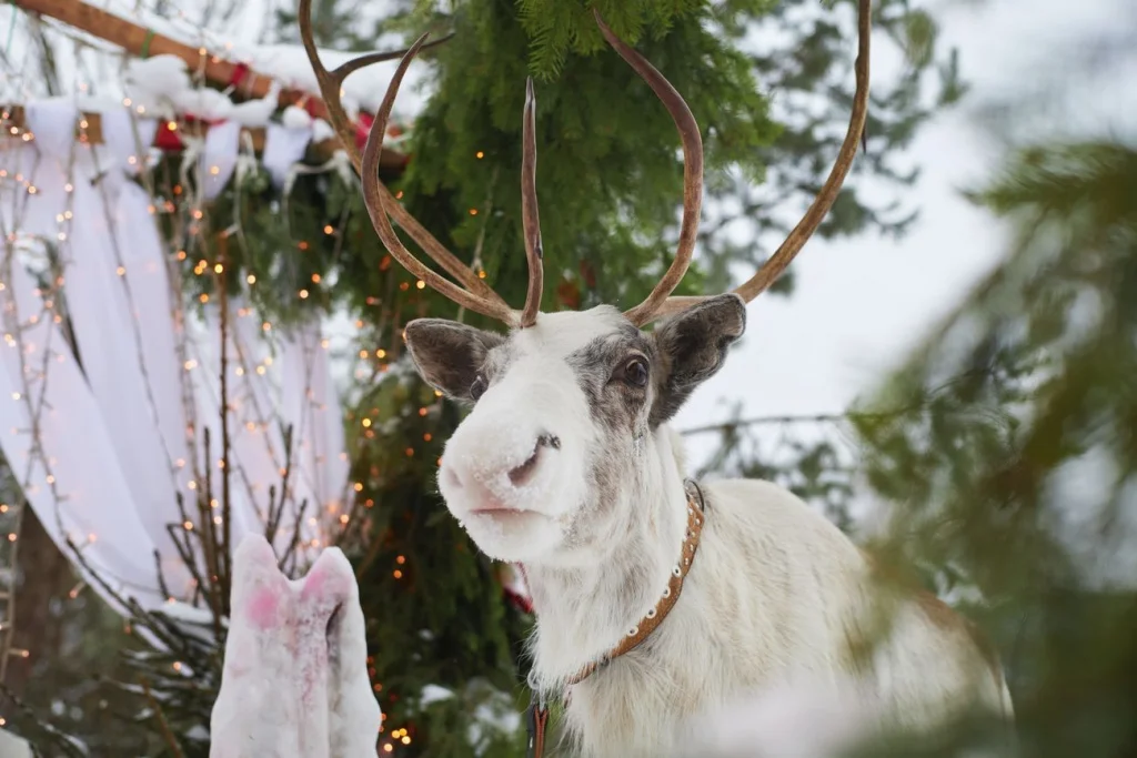 Посещение «Городской фермы» на ВДНХ в будни со скидкой 20%