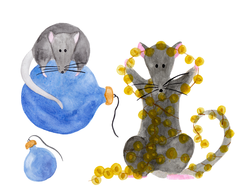 Спектакль «Шишли-Мышли и книга сказок Деда Мороза» со скидкой 20%