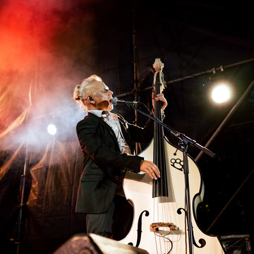 Концерт группы «Скворцы Степанова». Unplugged со скидкой 35%