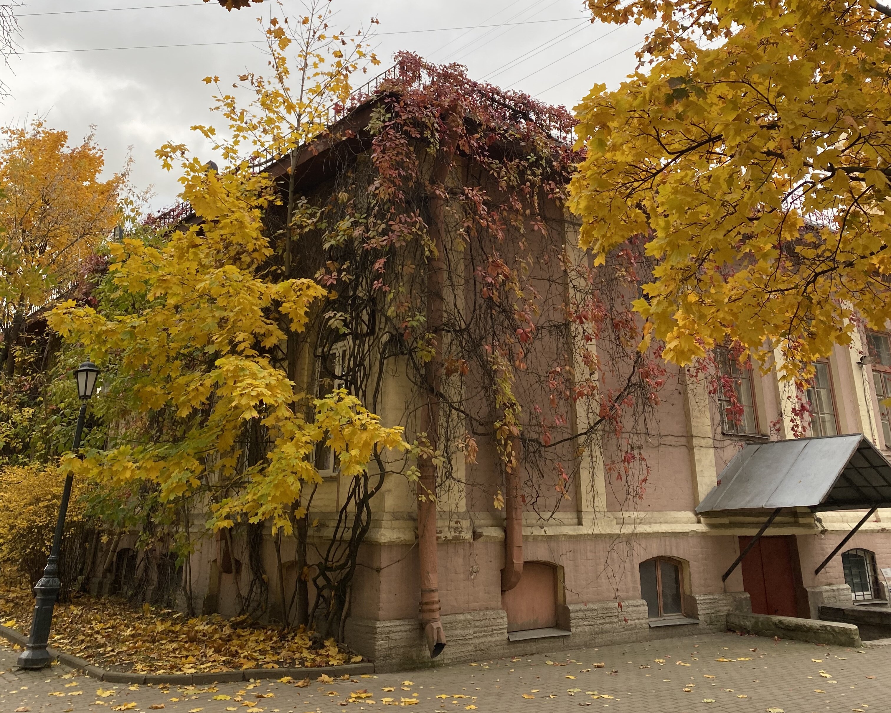 Провожаем золотую осень: атмосферные места Петербурга для фотопрогулки