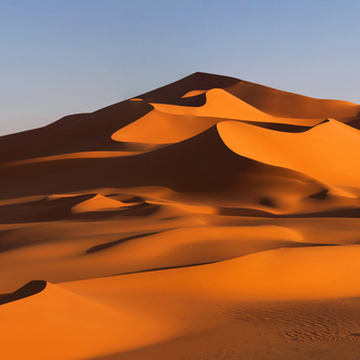 За пределами Фуджейры: знакомство с природой ОАЭ