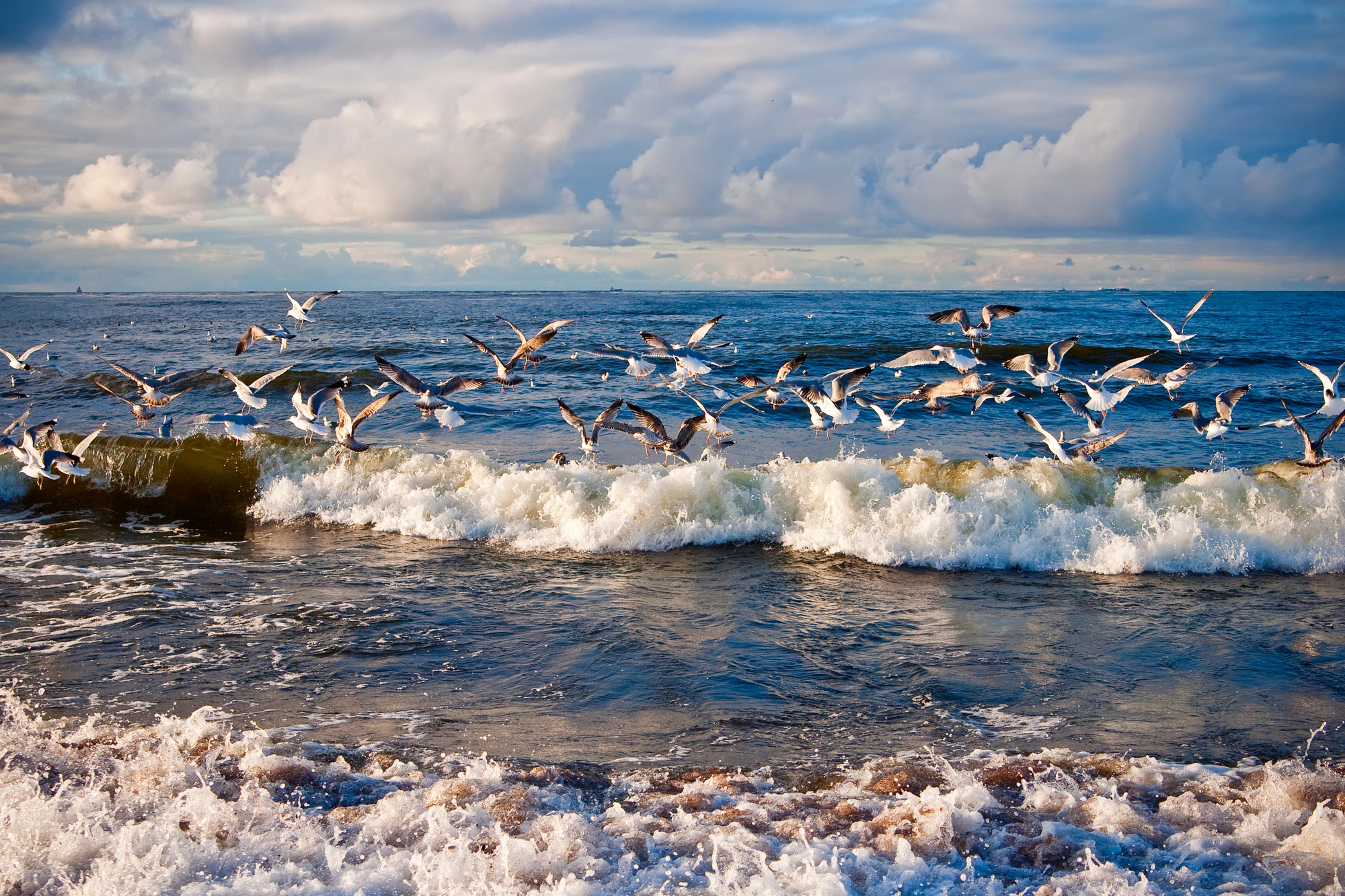 Индивидуальная экскурсия «Янтарное побережье: Светлогорск, Балтийск, Янтарный» Индивидуальная экскурсия «Янтарное побережье: Светлогорск, Балтийск, Янтарный» со скидкой 20%