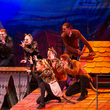 Мюзикл «Мама-Кот» в Театре эстрады им. Аркадия Райкина