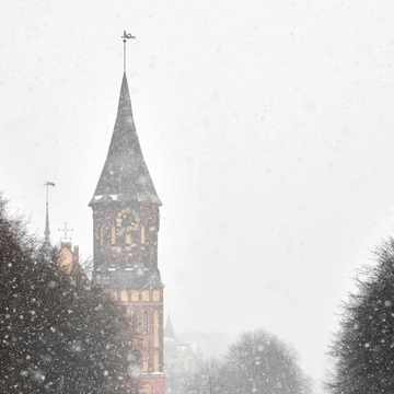 Зима в Калининграде: что посмотреть и куда поехать