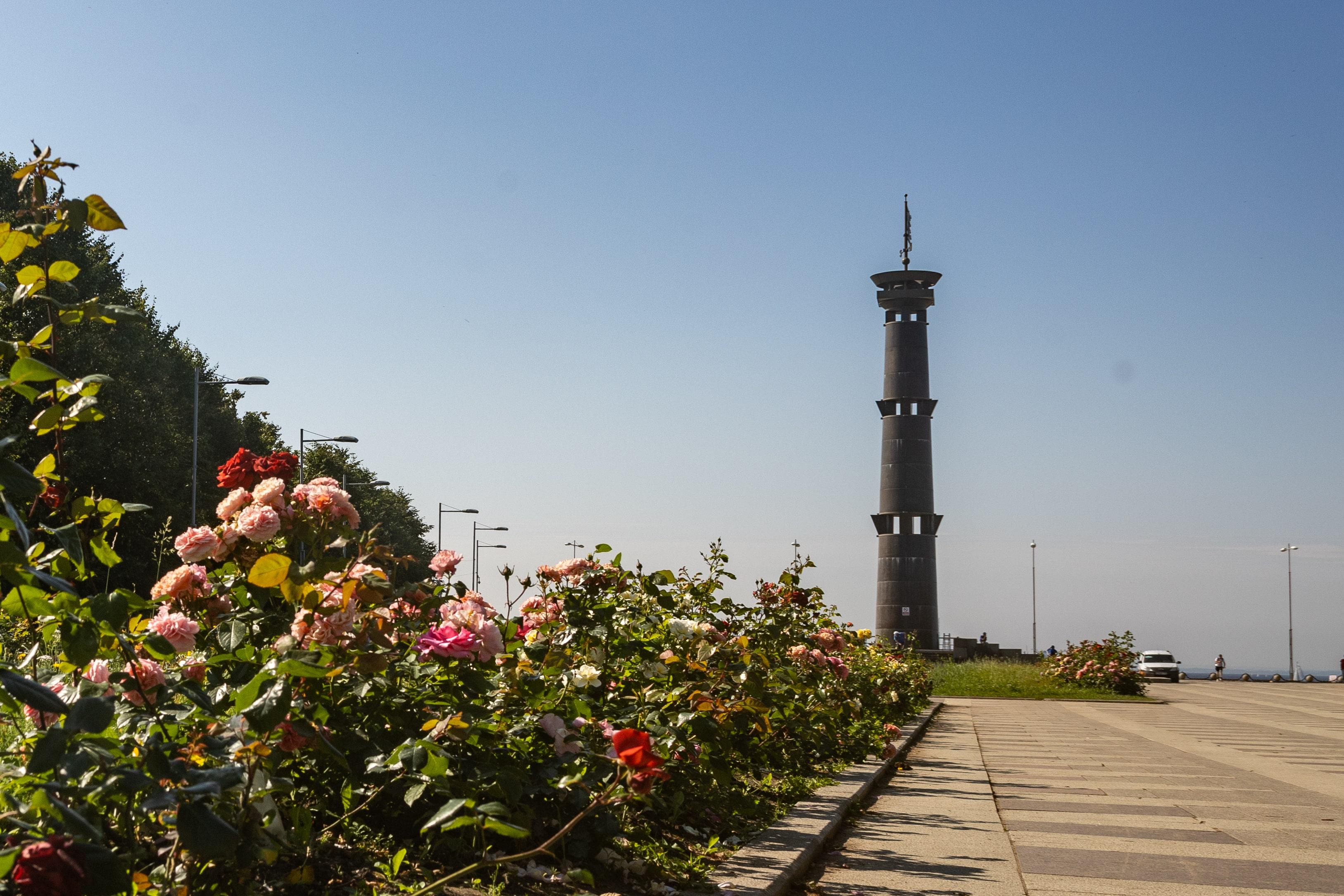 В Петербурге рассказали, как изменится Парк 300-летия