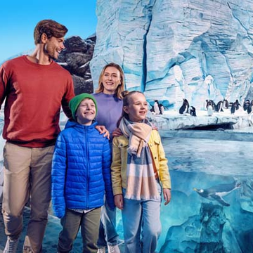 Парк развлечений SeaWorld в Абу-Даби из Шарджи Парк развлечений SeaWorld в Абу-Даби из Шарджи