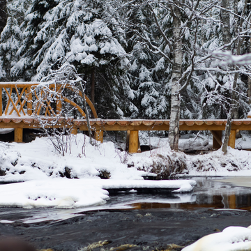 Двухдневный тур «Карелия: Петрозаводск, водопады, Дед Мороз» со скидкой до 39%