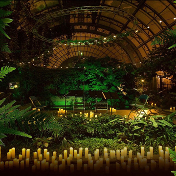 Концерт при свечах «Времена года. Vivaldi vs. Piazzolla» в Оранжерее Таврического сада Концерт при свечах «Времена года. Vivaldi vs. Piazzolla» в Оранжерее Таврического сада со скидкой 35%