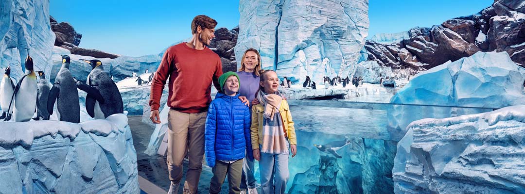 Парк развлечений SeaWorld в Абу-Даби из Шарджи Парк развлечений SeaWorld в Абу-Даби из Шарджи