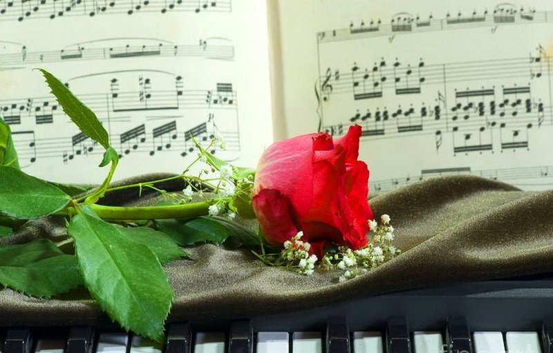 Праздничный концерт для голоса и органа «Ты, как цветок весенний. Шуман, Чайковский, Дебюсси» со скидкой 50%