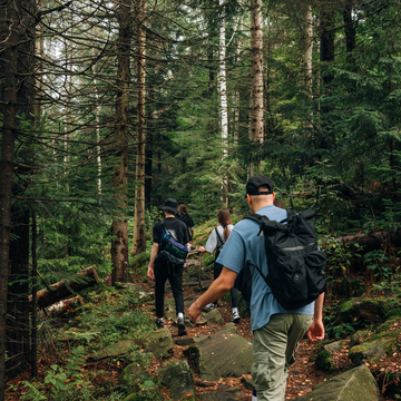 Экскурсия «Путешествие в горную Долину нарзанов» со скидкой 20%