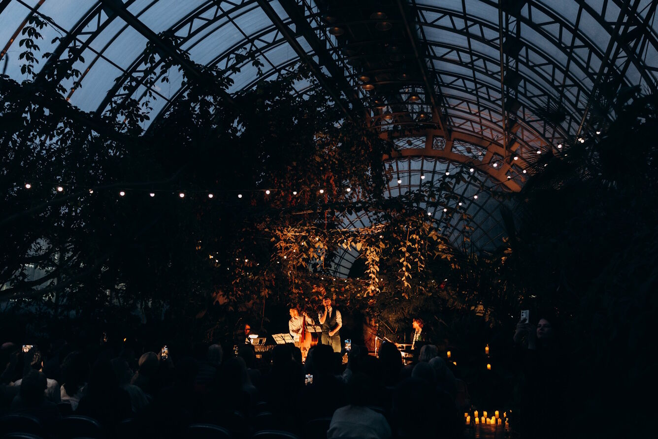 Концерт при свечах «Mi amor. Вечер аргентинского танго» в Оранжерее Таврического сада со скидкой 40%