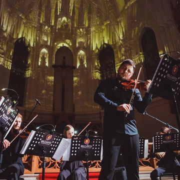 Концерт «Саундтрек-шоу в Соборе. Пираты Карибского моря, Гарри Поттер, Властелин колец, Игра престолов» со скидкой 40%