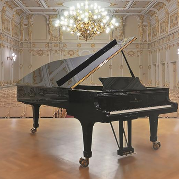 Вокальный вечер Бориса Пинхасовича Вокальный вечер Бориса Пинхасовича