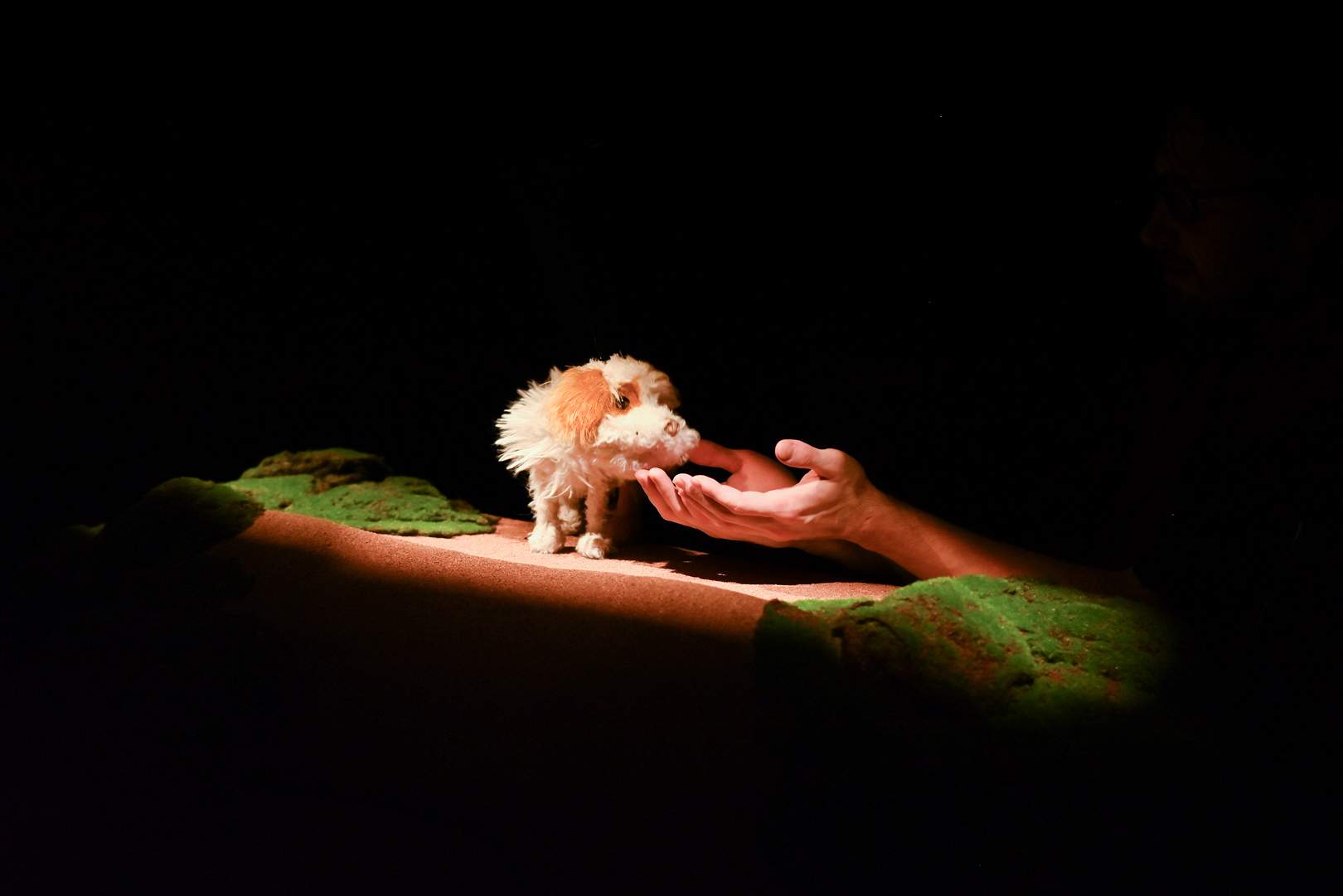 Спектакль «Умная собачка Соня» в Karlsson Haus