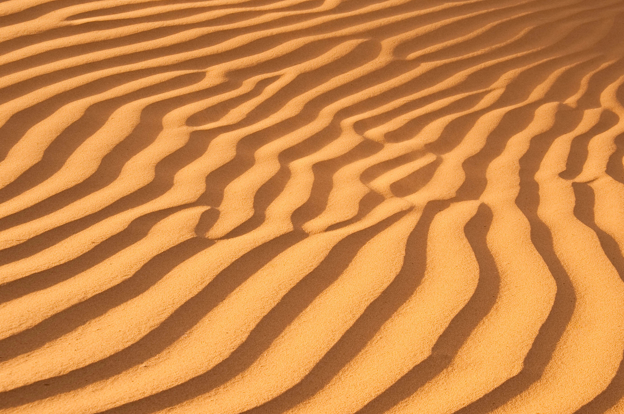 Песочная арена LA PLAYA