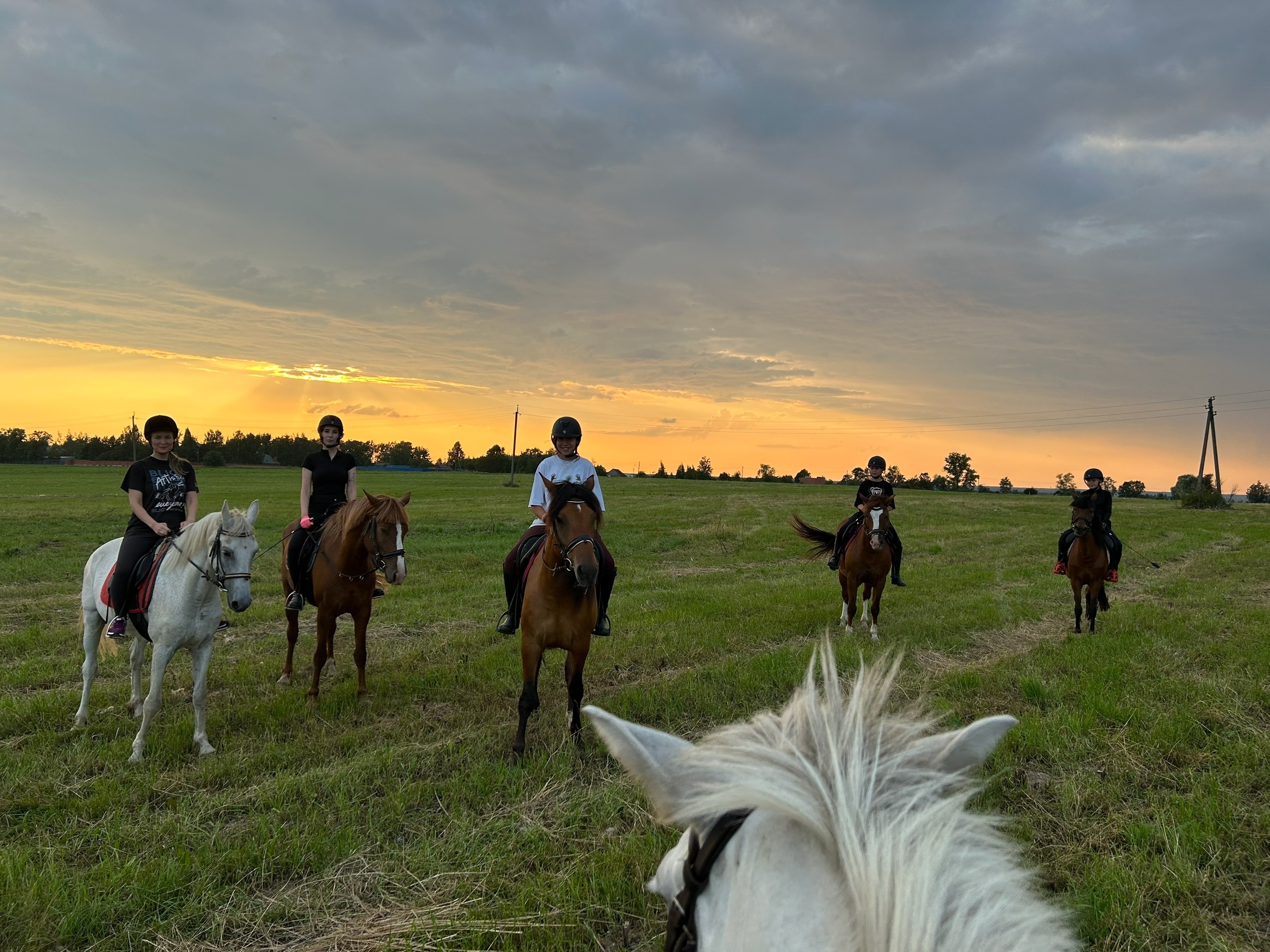 Часовая конная прогулка Часовая конная прогулка со скидкой 50%