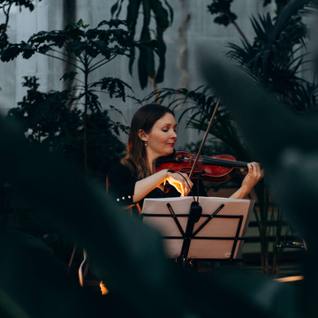 Концерт при свечах «Времена года. Vivaldi vs. Piazzolla» в Оранжерее Таврического сада со скидкой 50%