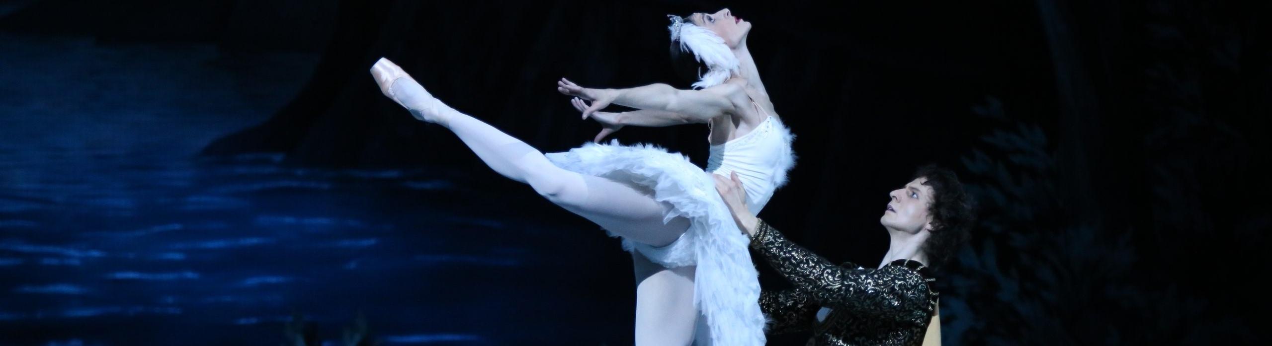 Балет «Лебединое озеро» в Эрмитажном театре со скидкой 30%