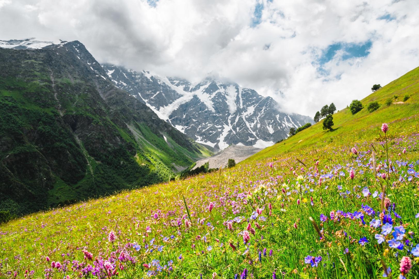Джип-тур в Абхазию «Альпийские луга» с подъёмом на гору Мамзышха