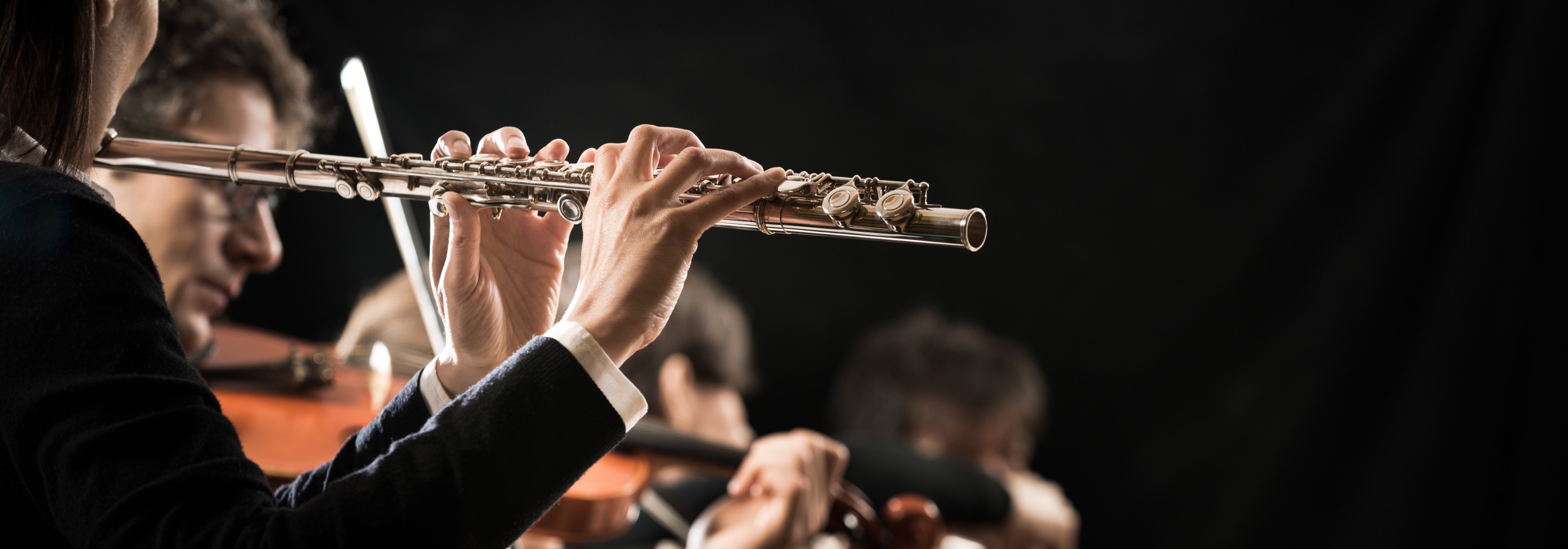 Концерт «Под музыку Вивальди» при свечах с экскурсией по усадьбе Державина Концерт «Под музыку Вивальди» при свечах с экскурсией по усадьбе Державина со скидкой 30%