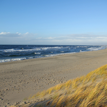 Автобусная экскурсия «Национальный парк Куршская коса» со скидкой 25%