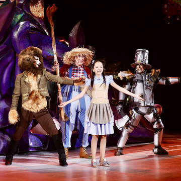 Музыкально-цирковое шоу «Изумрудный город» Музыкально-цирковое шоу «Изумрудный город» со скидкой 20%