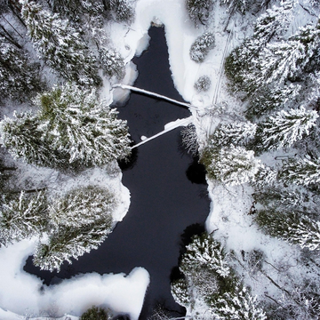 Однодневная экскурсия в Карелию «Мраморный каньон Рускеала и карельские водопады» со скидкой до 33%