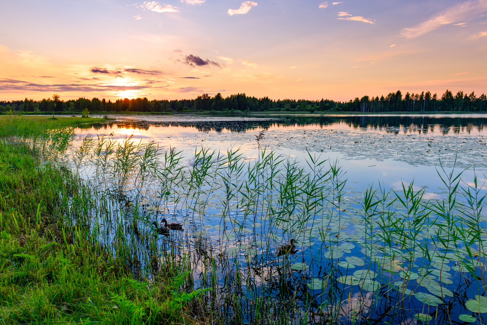 Двухдневный тур «От Причудья и Плескова к Талабским островам» Двухдневный тур «От Причудья и Плескова к Талабским островам»