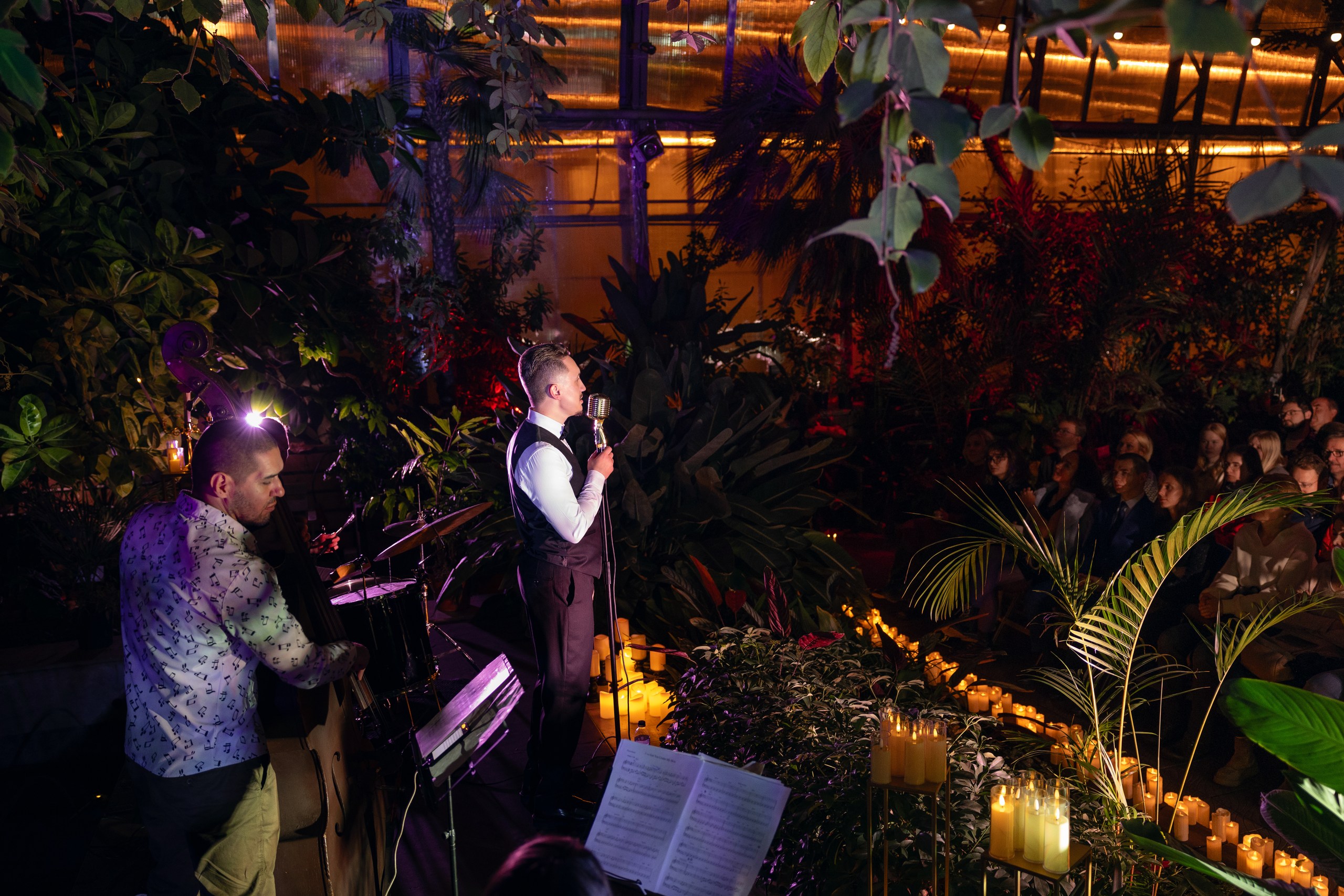 Концерт при свечах «Джаз. Frank Sinatra» в Оранжерее Таврического сада со скидкой 35%