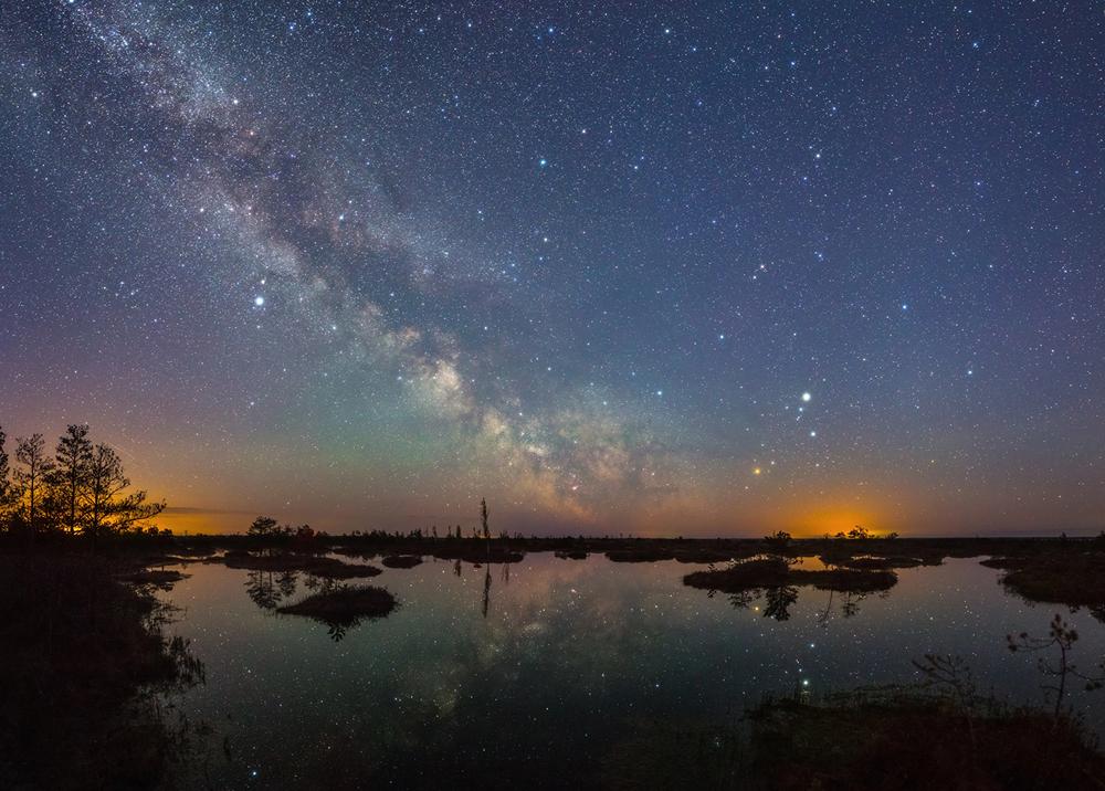 Экскурсия «Древнейшее болото Беларуси. Ельня» со скидкой 20%