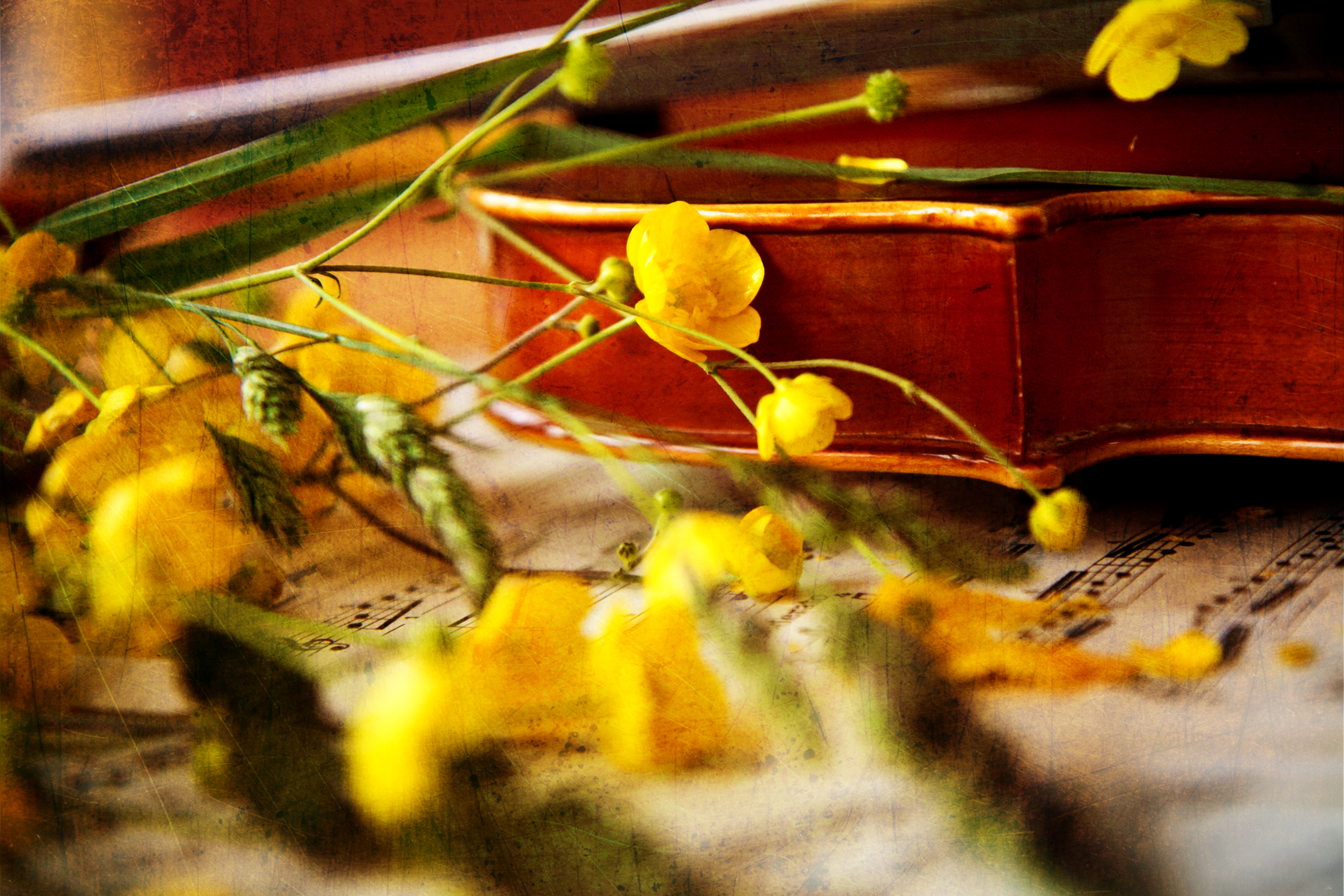 Концерт «Весеннее пробуждение. Бах, Моцарт, Бетховен, Шопен и другие» со скидкой 50%