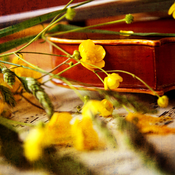 Концерт «Весеннее пробуждение. Бах, Моцарт, Бетховен, Шопен и другие» со скидкой 50%