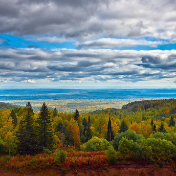 Пешеходная экскурсия в парк «Красноярские столбы»