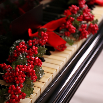 Органный концерт «В последние минуты декабря» Органный концерт «В последние минуты декабря» со скидкой 30%