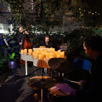 Концерт при свечах «Лаунж-джаз» в Оранжерее Таврического сада Концерт при свечах «Лаунж-джаз» в Оранжерее Таврического сада со скидкой 30%