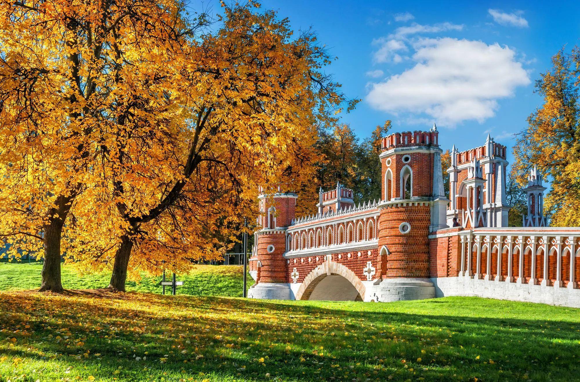 Ноябрьские праздники в Москве: куда сходить с 1 по 4 ноября