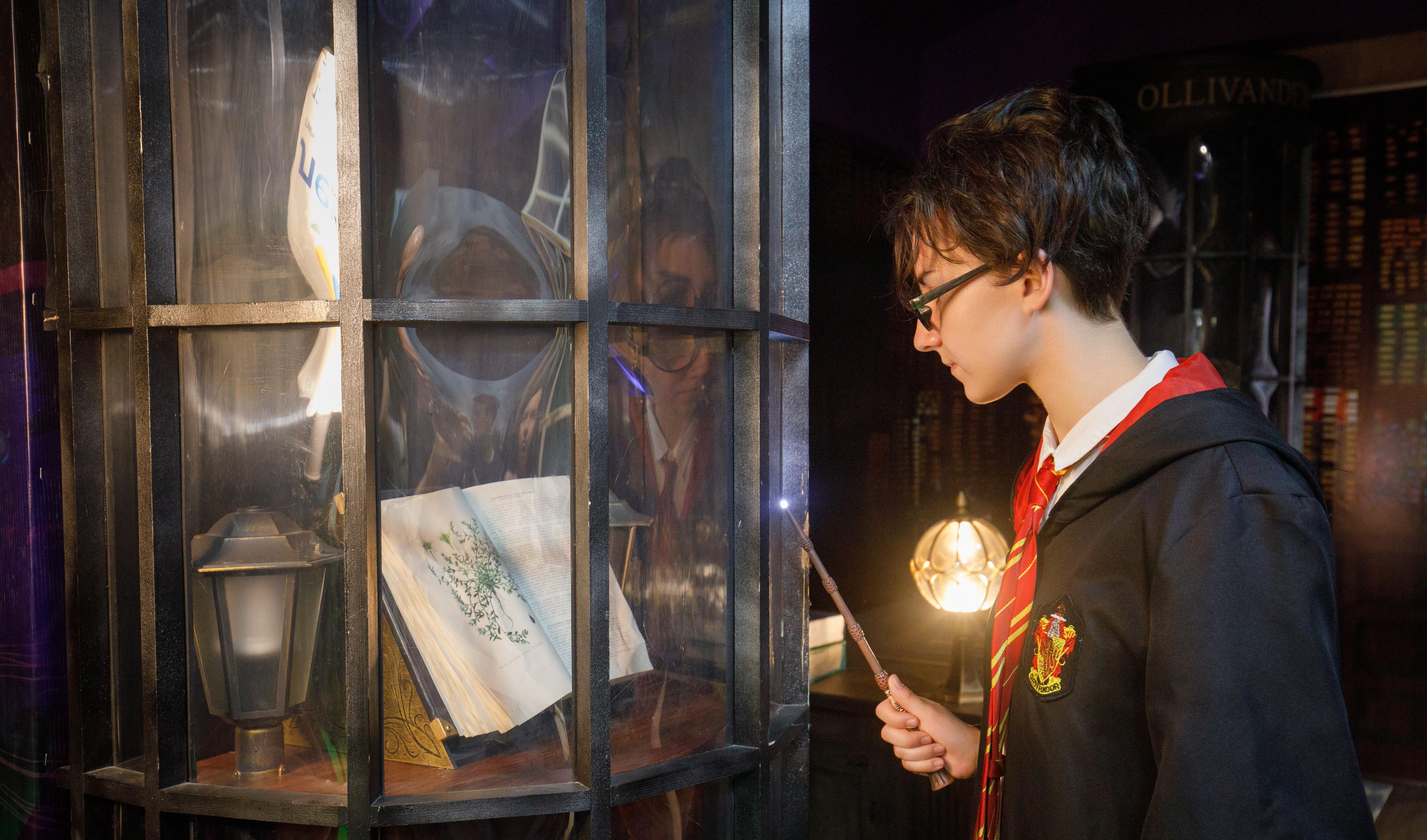 Выставка в Музее вселенной Гарри Поттера с мастер-классом со скидкой до 62%